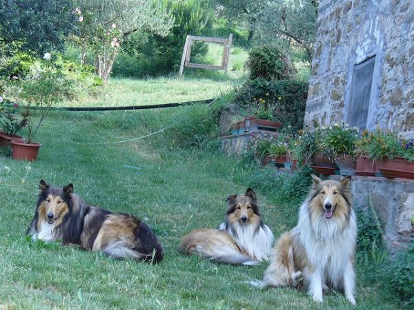 B&B Il Poggiolo