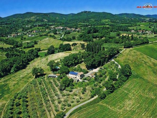 agriturismo domus etrusca