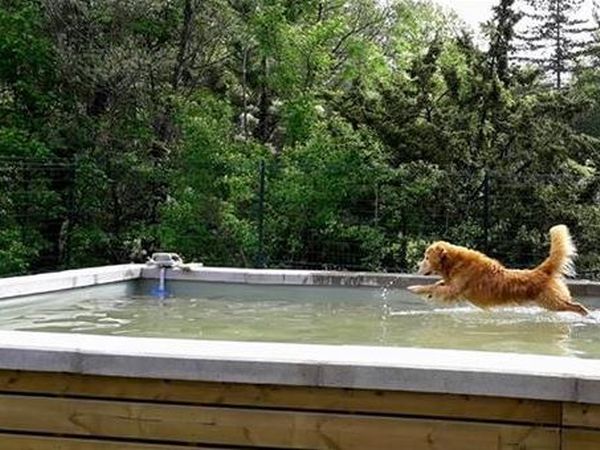 Agriturismo Il Casotto