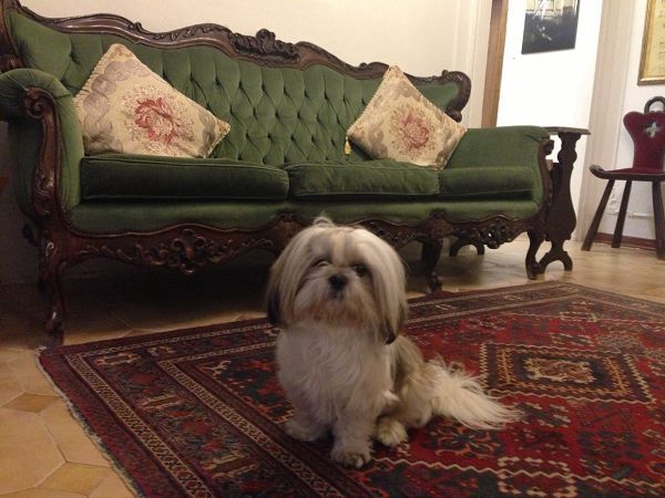 Albergo San Samuele