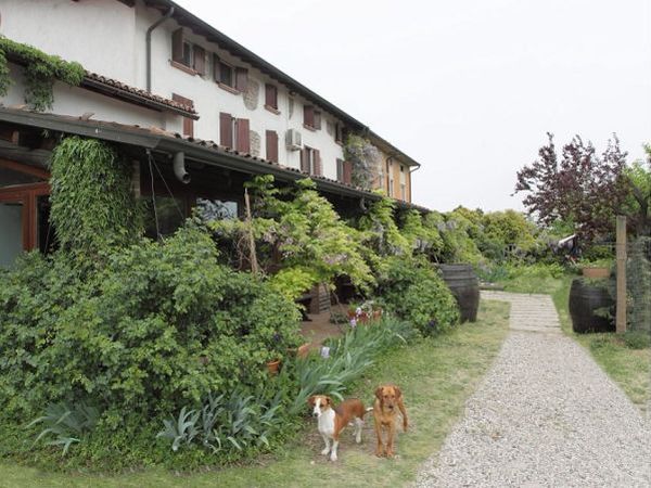 Agriturismo La Pace