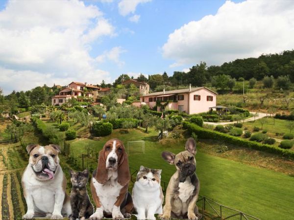 Country House Marilena la Casella