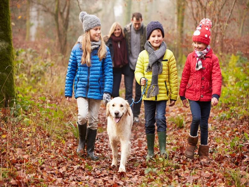 Foliage in Italia con il cane | VacanzeAnimali.it