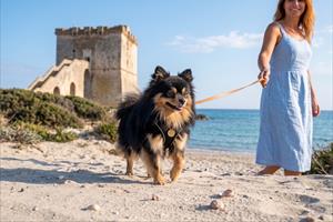 Dove portare il cane a Punta Prosciutto e Torre Lapillo