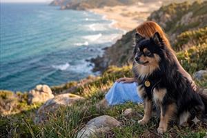 Vacanze con il cane in Sardegna: guida alla Costa Verde
