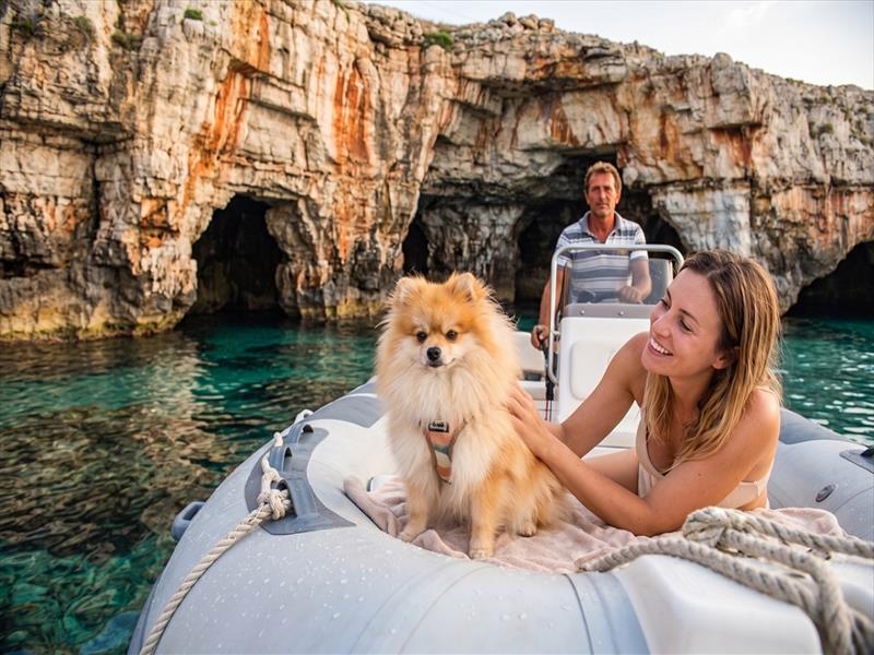 Dove portare il cane a Castro e Santa Maria di Leuca