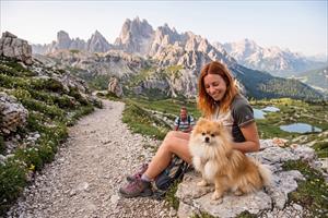 Cane in montagna d'estate: consigli per escursioni sicure