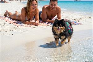 Cosa fare con il cane a Villasimius: spiagge e natura