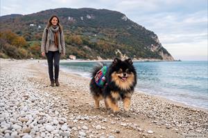 Vacanze con il cane alla Riviera del Conero