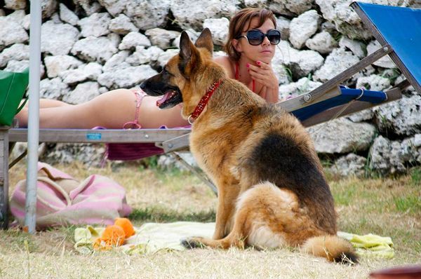 Spiaggia Santos Baubeach A Fasano Br Vacanzeanimaliit