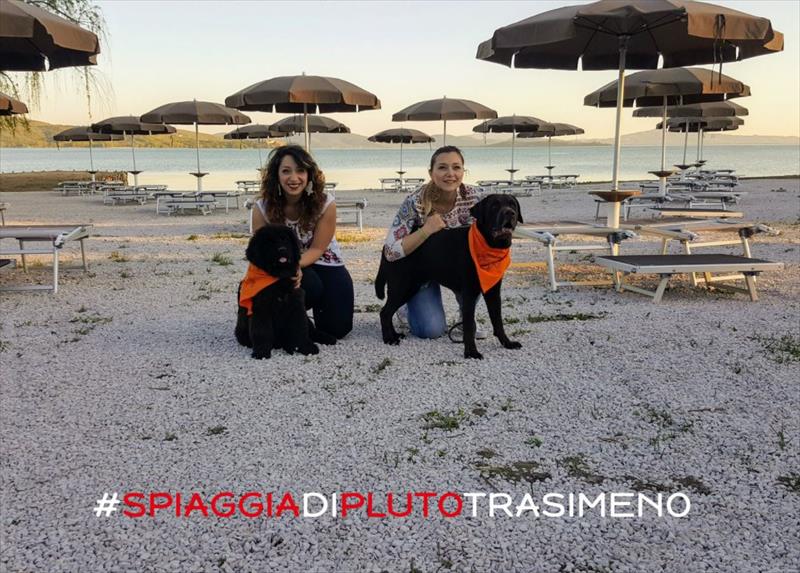 Tutte Le Spiagge Pet Friendly Italiane Greenious