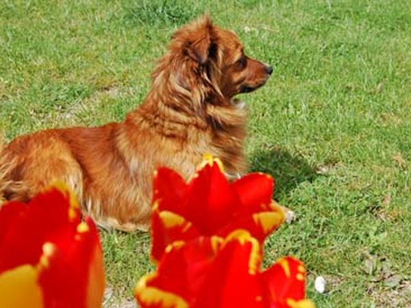 Agriturismo Aia del Tufo - foto 1829.jpg