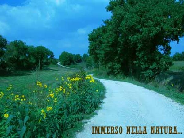 Agriturismo Aia del Tufo - foto 2195.jpg