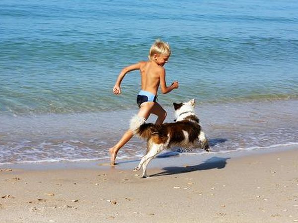 Villa Conca Marco - foto 10327.jpg