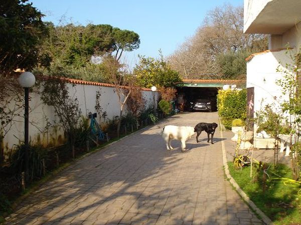 Briciolo di Paradiso - foto 10362.jpg