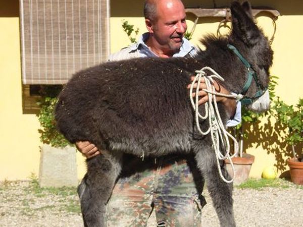 Agriturismo Podere Il Poggiolo - foto 10439.jpg