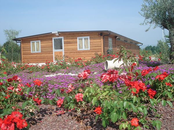 Capricci di Dama - foto 10537.jpg