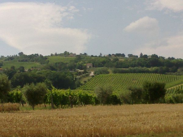 Il Nido dellAquila - foto 10583.jpg