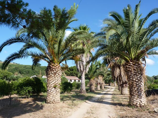 Residenza il Normanno - foto 10696.jpg