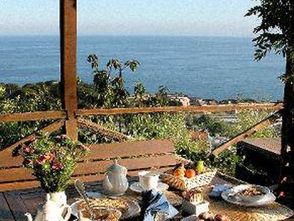 Natta di Monte Tabor  - foto 10709.jpg