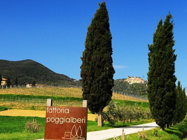 Fattoria Poggialberi - foto 10721.jpg