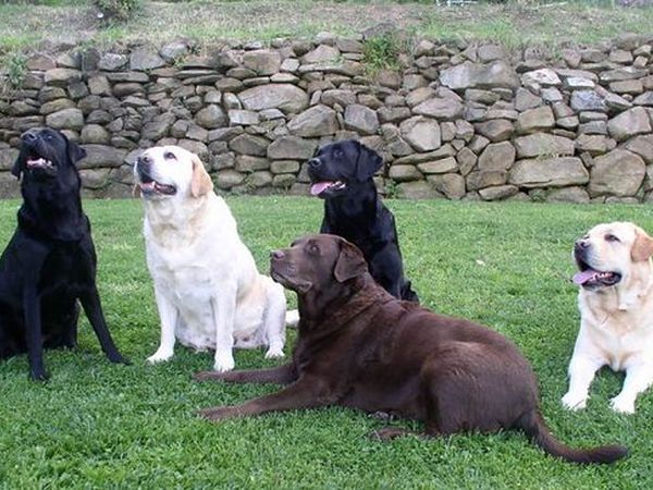 Fattoria Poggialberi - foto 10731.jpg