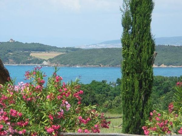 Agriturismo la Ranocchiaia - foto 10810.jpg