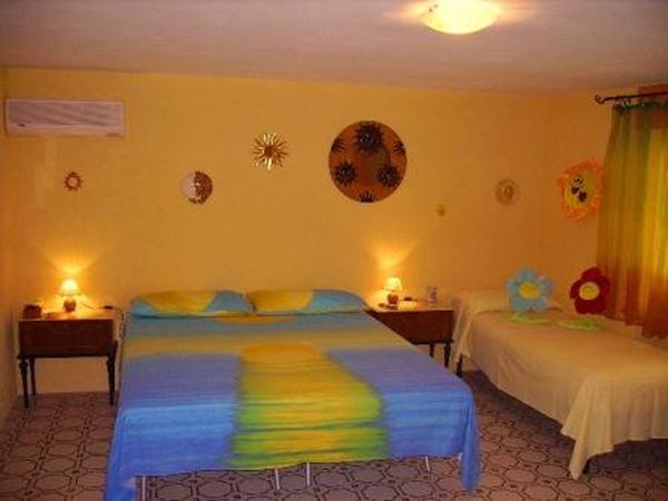 B&B Sole Luna e Girasoli - foto 2013.jpg