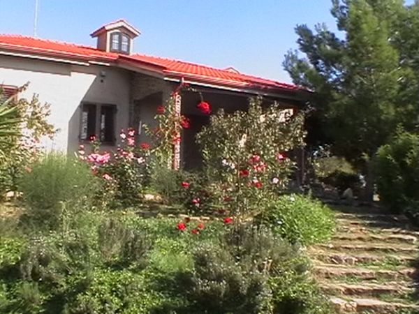 Green Oasi  - foto 11113.jpg