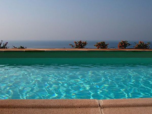 Natta di Monte Tabor  - foto 11185.jpg