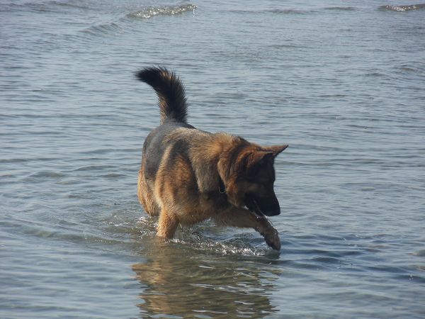 Mare Blu - foto 6384.jpg