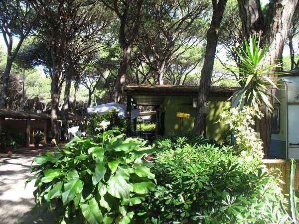 Camping Rosmarina - foto 11332.jpg