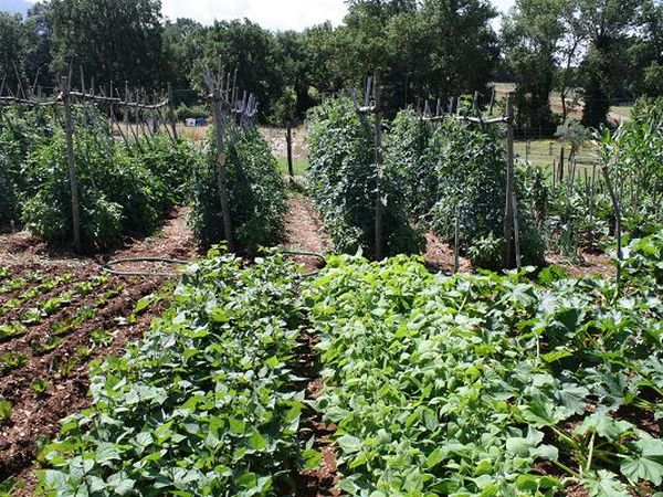 Agriturismo Fontana delle Pere - foto 11392.jpg