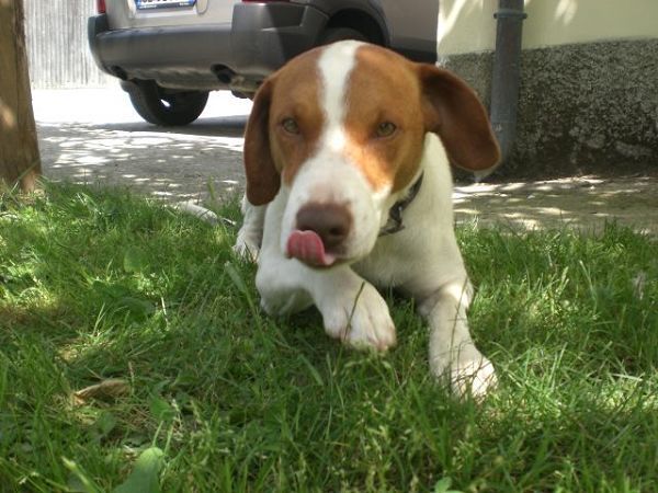 Agriturismo Casalina - foto 11457.jpg