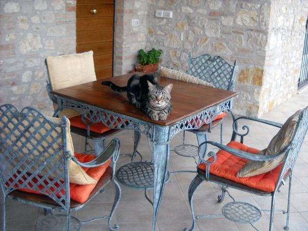 La Mandorla - foto 11510.jpg