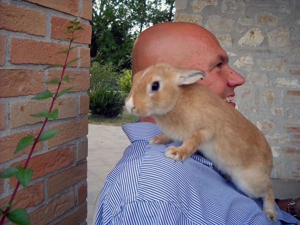 La Mandorla - foto 11513.jpg