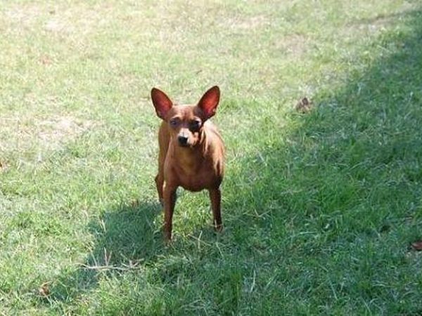 Casa Vacanze Santa Caterina - foto 11624.jpg