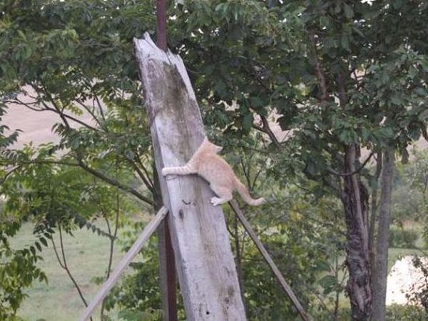 Casa Vacanze Santa Caterina - foto 11625.jpg