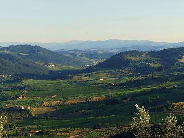 Agriturismo Podere Il Poggiolo - foto 11785.jpg