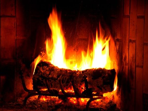 Agriturismo Podere Il Poggiolo - foto 11797.jpg