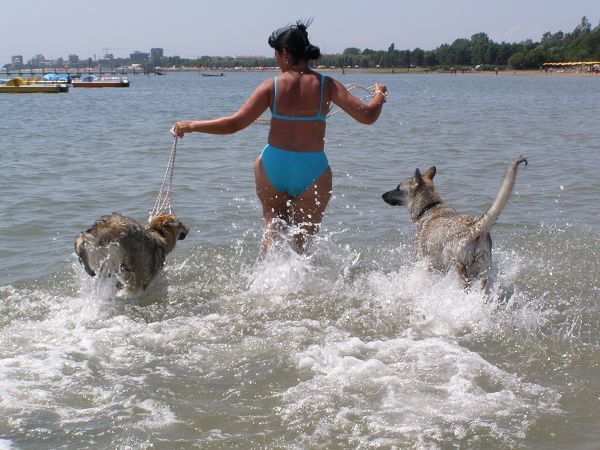 La Spiaggia di Snoopy - foto 11861.jpg