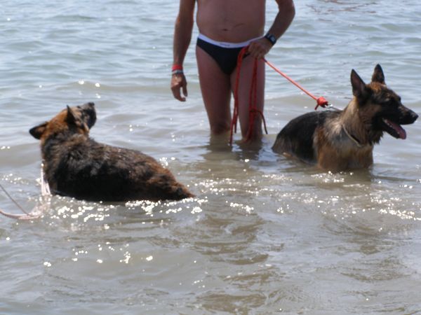 La Spiaggia di Snoopy - foto 11862.jpg