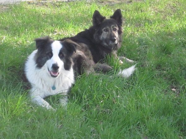 Agriturismo Podere La Giuda - foto 11989.jpg