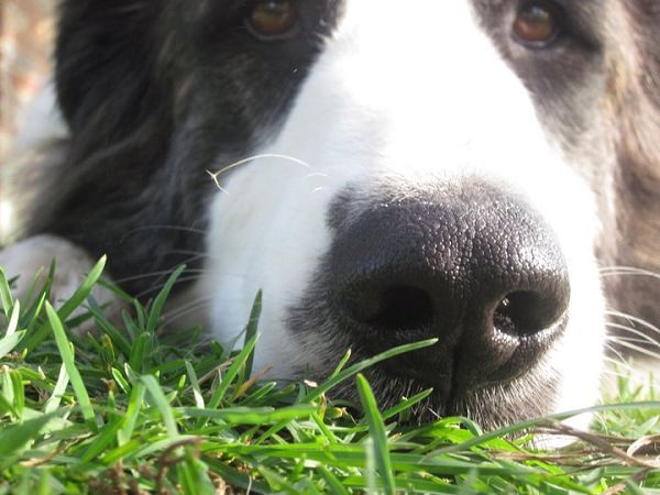 Agriturismo Podere La Giuda - foto 11991.jpg