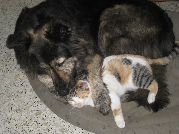 Agriturismo Podere La Giuda - foto 11995.jpg