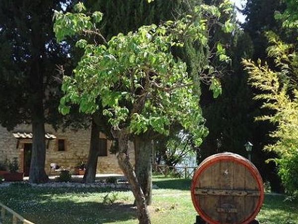 Agriturismo Casali del Toppello - foto 12170.jpg
