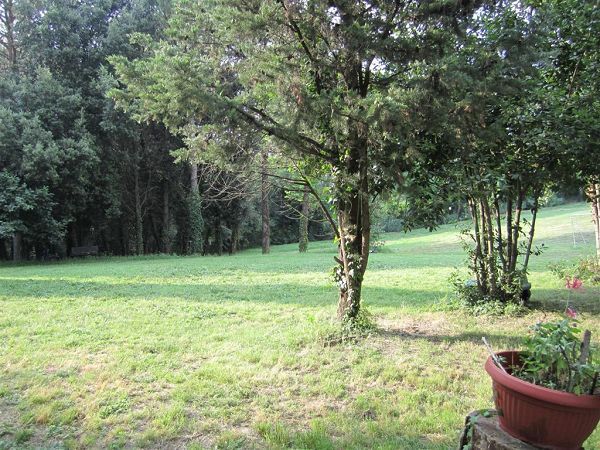 Villa Arianna B&B - foto 12595.jpg