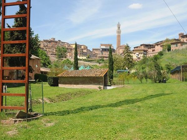 AllOrto de Pecci - foto 12643.jpg