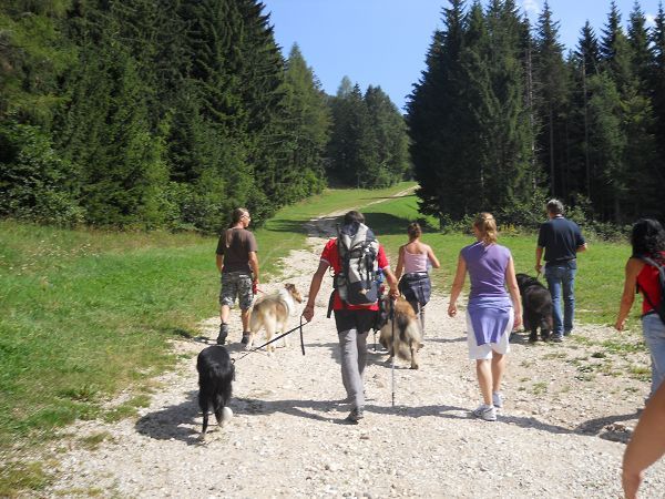 Hotel Cristallo  - foto 12699.jpg