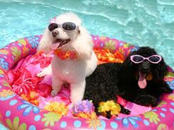 Hotel Lotus - foto 12959.jpg